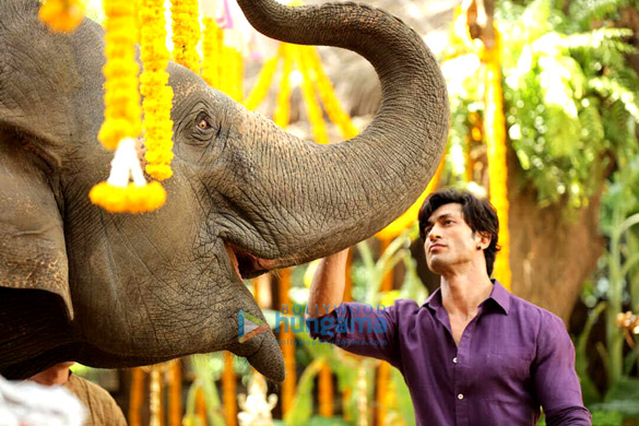 REVEALED: Vidyut Jammwal starrer Junglee to release on April 5