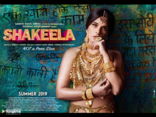 Movie Wallpapers Of The Movie Shakeela - Not A Porn Star