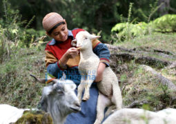 Movie Stills Of The Movie Karim Mohammed