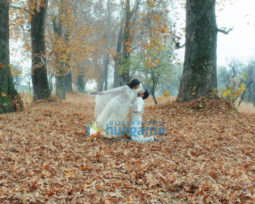 Movie Stills Of The Movie Laila Majnu