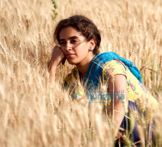 Movie Stills Of The Movie Pataakha