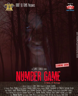 First Look Of Number Game