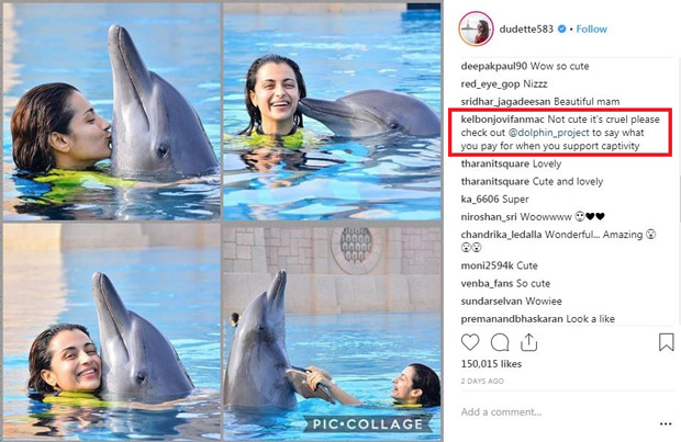 South actress Trisha Krishnan gets trolled over sharing pictures with Dolphin during her Dubai vacation 