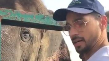 On World Animal Day, Sidharth Malhotra urges fans to adopt and provide basic needs to animals