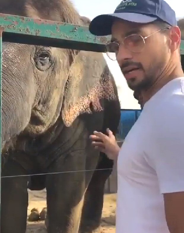 On World Animal Day, Sidharth Malhotra urges fans to adopt and provide basic needs to animals