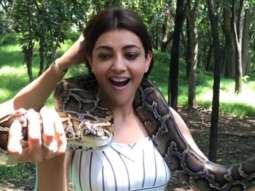 Paris Paris actress Kajal Aggarwal is enjoying her time in Thailand and the Queen actress’ daredevilry video will leave you surprised!