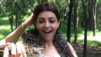 Paris Paris actress Kajal Aggarwal is enjoying her time in Thailand and the Queen actress’ daredevilry video will leave you surprised!