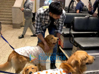 Sidharth Malhotra snapped with Therapy Dogs at the airport