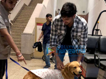 Sidharth Malhotra snapped with Therapy Dogs at the airport