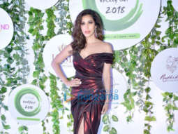 Sophie Choudry, Gauahar Khan, Ananya Pandey, Suniel Shetty and others the Wellfest awards 2018