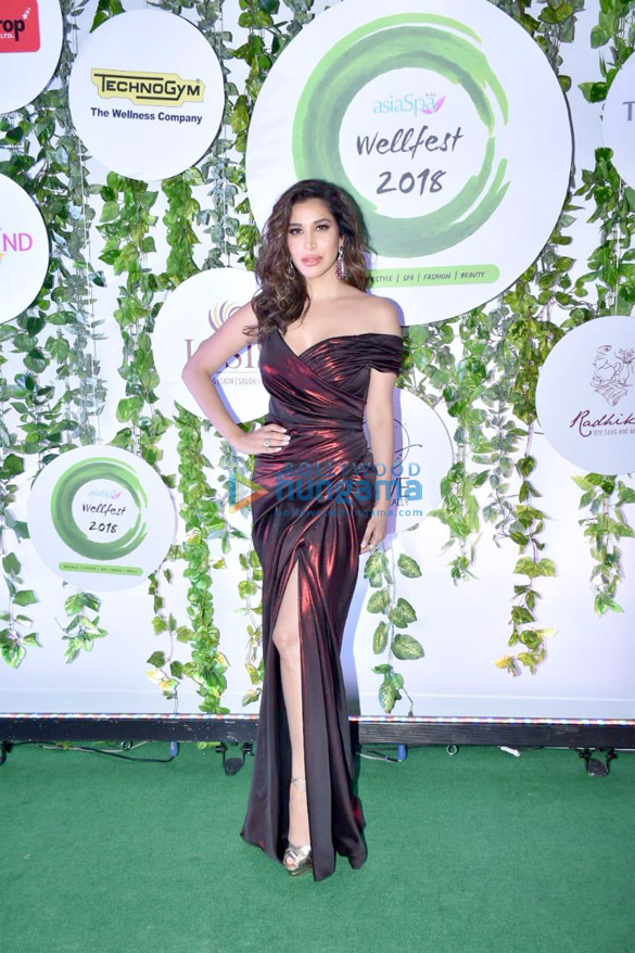 Sophie Choudry, Gauahar Khan, Ananya Pandey, Suniel Shetty and others the Wellfest awards 2018 Sophie Choudry, Gauahar Khan, Ananya Pandey, Suniel Shetty and others the Wellfest awards 2018