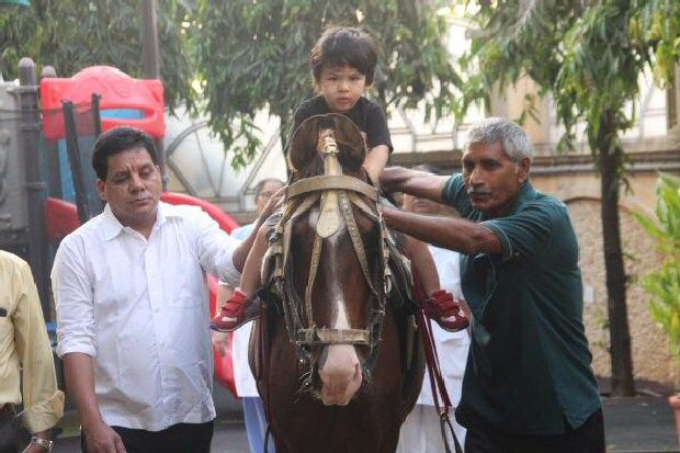 Jr. Nawab Taimur Ali Khan rides a pony displaying peak royal traits, gives us a CUTE ATTACK (see pics)