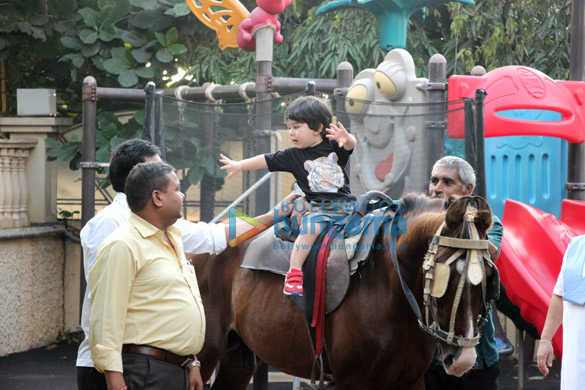 taimur ali khan snapped playing on horse ride at amrita aroras house 4