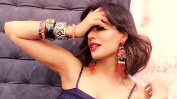 Celebrity Photos of Chitrangda Singh