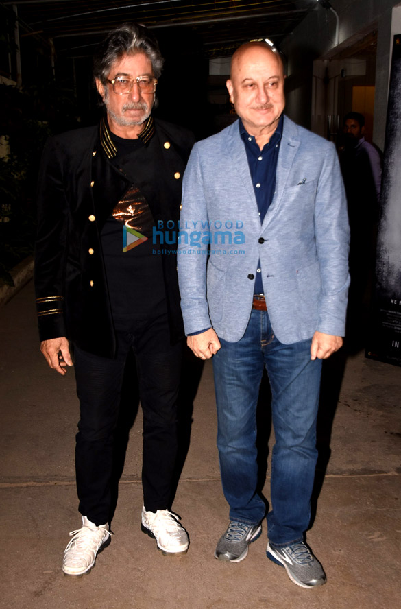 celebs grace the special screening of the accidental prime minister 1
