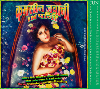 First Look Of Shakeela – Not A Porn Star