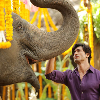 “It was the biggest high of my life when the elephant understood my command for the first time”, says Vidyut Jammwal