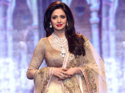 Sridevi: The HEROINE who was a HERO
