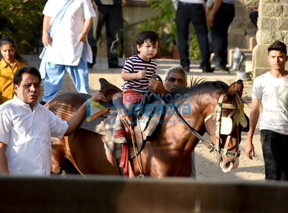 taimur ali khan snapped riding a horse 2 2