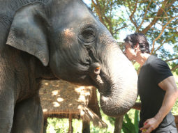 Box Office: Junglee Day 3 in overseas