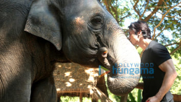 Movie Stills Of The Movie Junglee