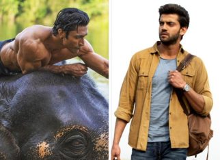 Junglee Box Office Collections Day 5: The Vidyut Jammwal starrer Junglee has a decent Tuesday, Notebook stable but on lower side