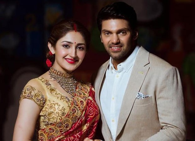 After Kaappaan, newlyweds Arya and Sayyeshaa to return to the big screen with Teddy