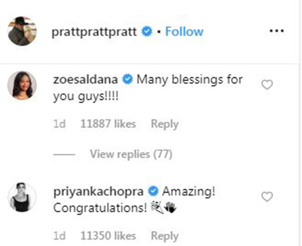 Here’s how Priyanka Chopra sent across her best wishes to newlyweds Chris Pratt and Katherine Schwarzenegger