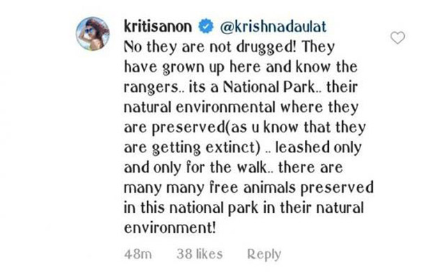 Kriti Sanon gets massively trolled over Cheetah posts; actress RESPONDS!