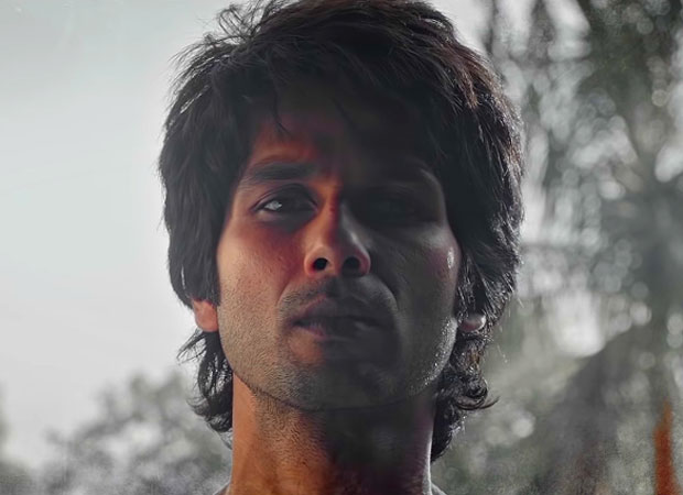 Box Office Kabir Singh Day 15 in overseas