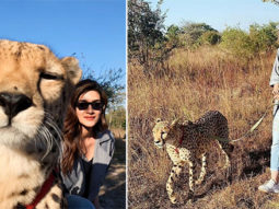 Kriti Sanon gets massively trolled over Cheetah posts; actress RESPONDS!