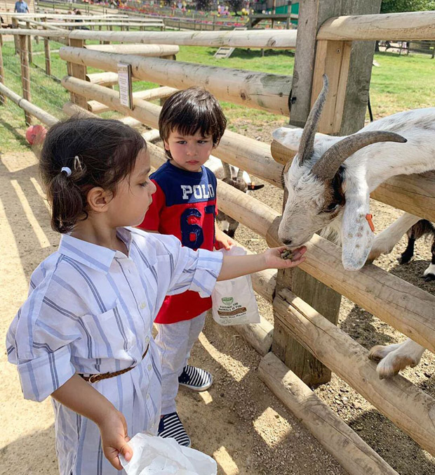 CUTE: This photo of Taimur Ali Khan and Kainaat Singha is too adorable to be missed! CUTE: This photo of Taimur Ali Khan and Kainaat Singha is too adorable to be missed!