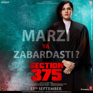 First Look Of Section 375