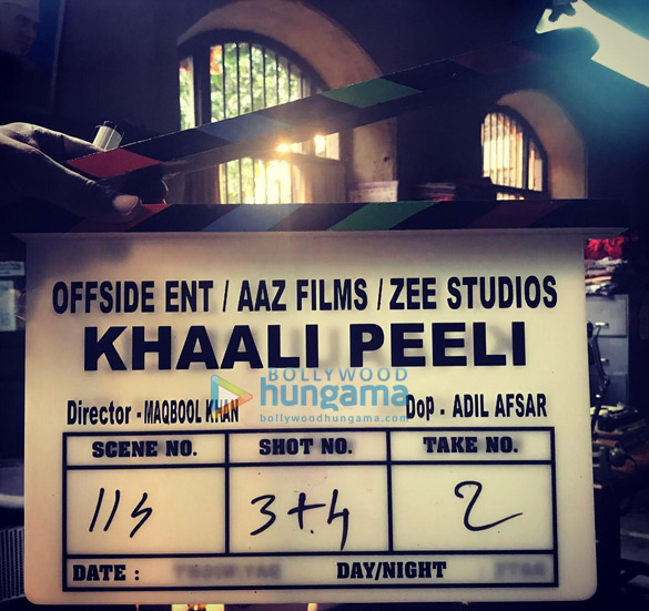 khaali peeli 3
