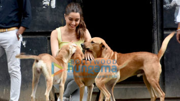 Photos: Shraddha Kapoor snapped playing with stray dogs