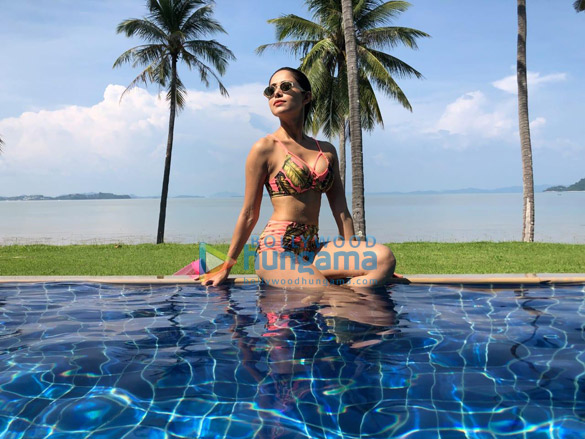 nushrat bharucha 5 3