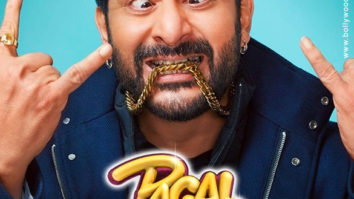 First Look Of The Movie Pagalpanti