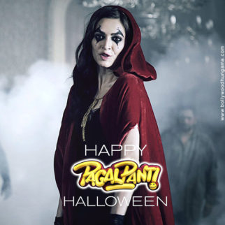 First Look Of The Movie Pagalpanti