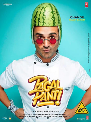 First Look Of The Movie Pagalpanti