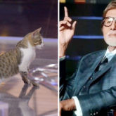 Cat gate-crashes Amitabh Bachchan's KBC sets, chills like a boss; see photo