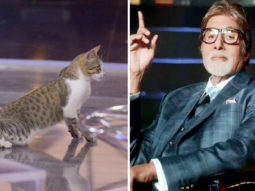 Cat gate-crashes Amitabh Bachchan’s KBC sets, chills like a boss; see photo