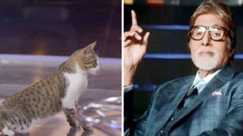 Cat gate-crashes Amitabh Bachchan’s KBC sets, chills like a boss; see photo