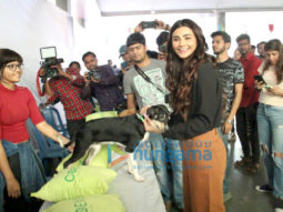 Photos: Daisy Shah, Zaheer Iqbal and Natasha Dalal grace Adoptathon 2019