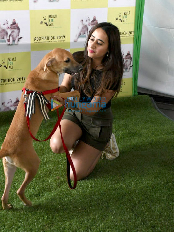 photos daisy shah and natasha dalal at grace adoptathon 2019 3