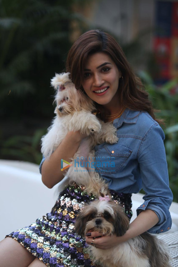 photos kriti sanon at the launch of iams pet food brand 3