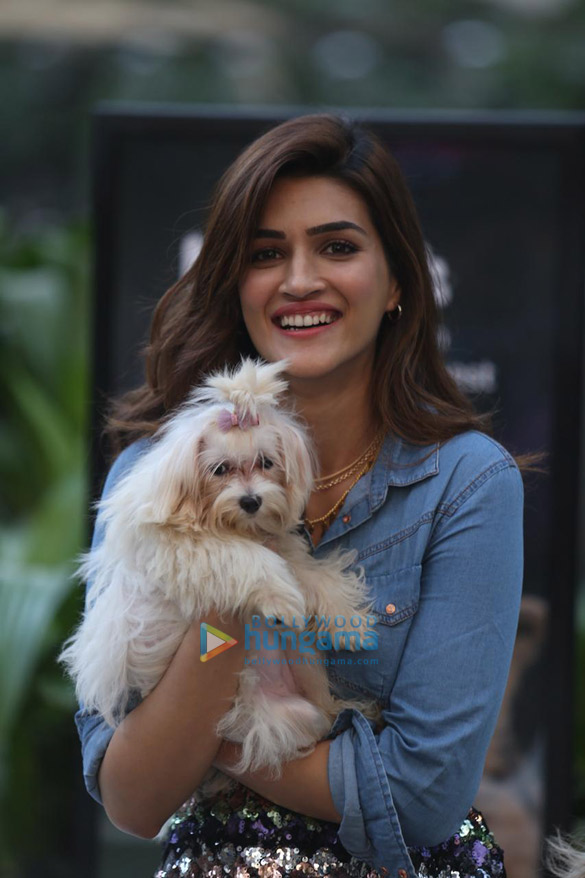 Photos: Kriti Sanon at the launch of IAMS pet food brand Photos: Kriti Sanon at the launch of IAMS pet food brand