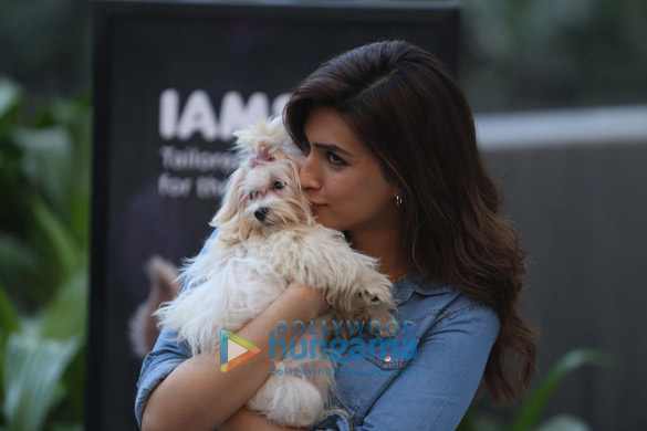 photos kriti sanon at the launch of iams pet food brand 5