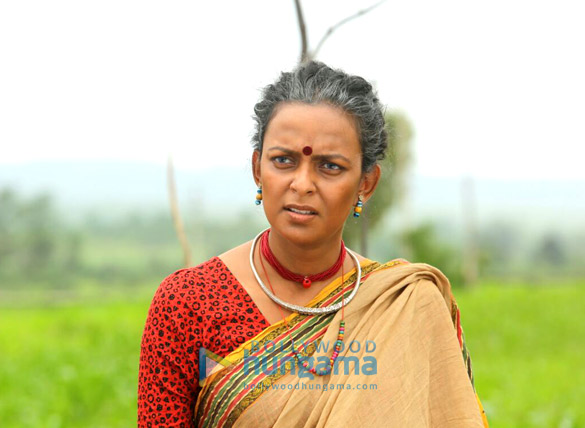 daya bai4
