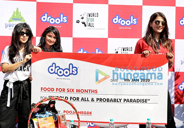 Photos: Pooja Hegde attends the Drools donate food for animals event Photos: Pooja Hegde attends the Drools donate food for animals event