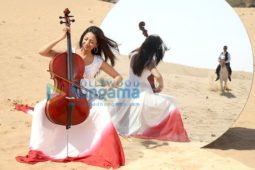 Movie Stills Of The Movie Babloo Bachelor